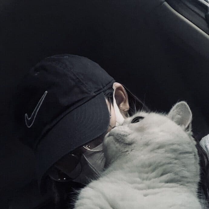 Phán Quyết Trong Đêm