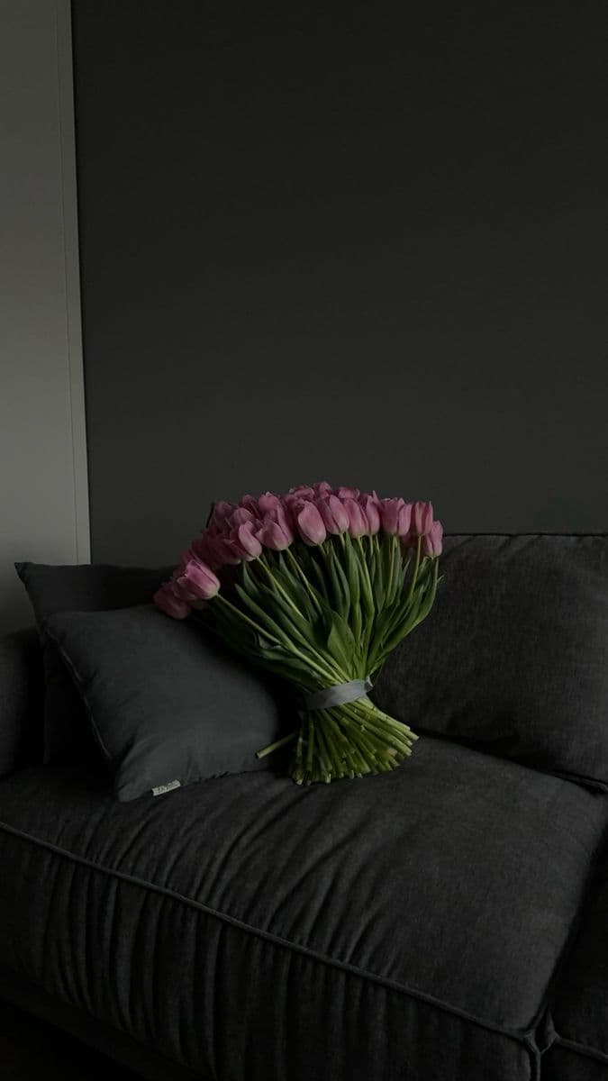 Kế Hoạch Hoàn Hảo